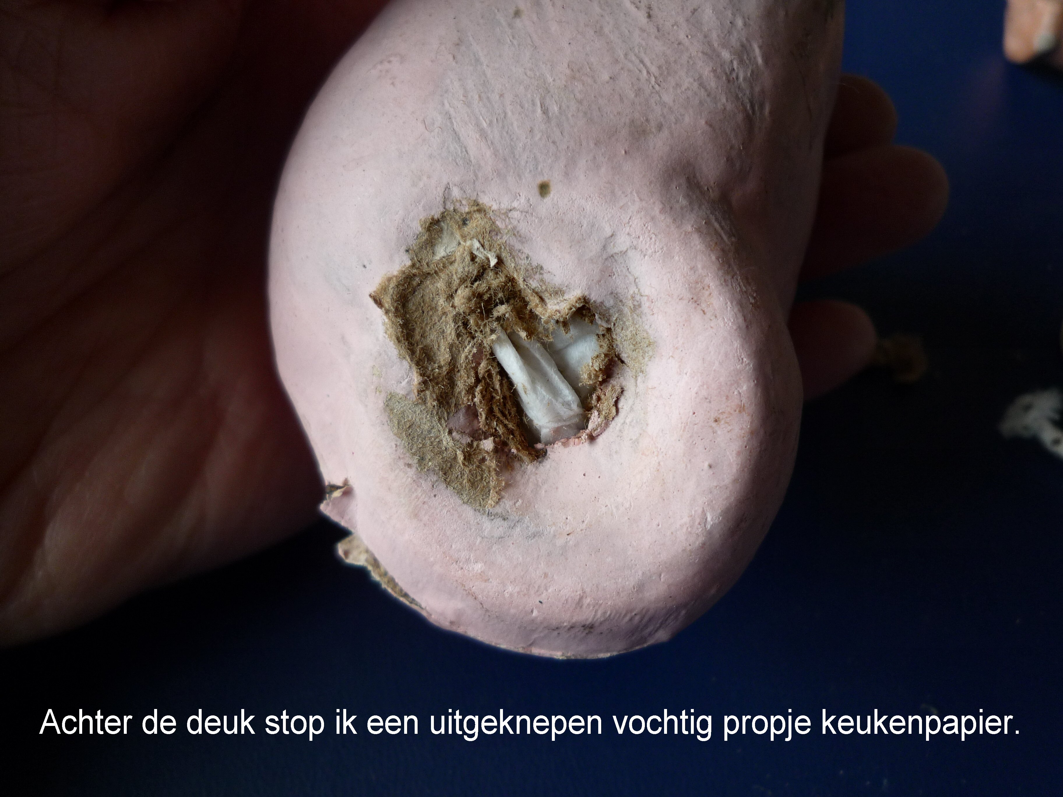 https://welkepopisdat.nl/afbeeldingen-Forum/DurvinaFotos/reparatie%20Sander%20(15).JPG